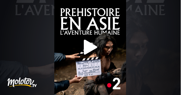 Pr Histoire En Asie L Aventure Humaine En Streaming Gratuit Sur France