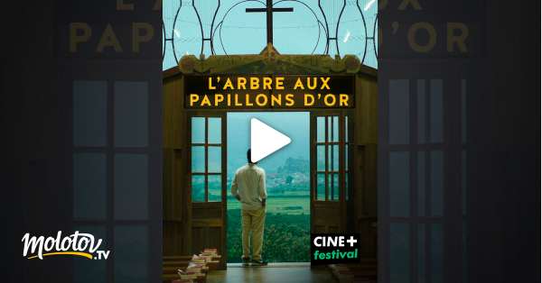 L Arbre Aux Papillons D Or En Streaming Replay Sur CINE Festival