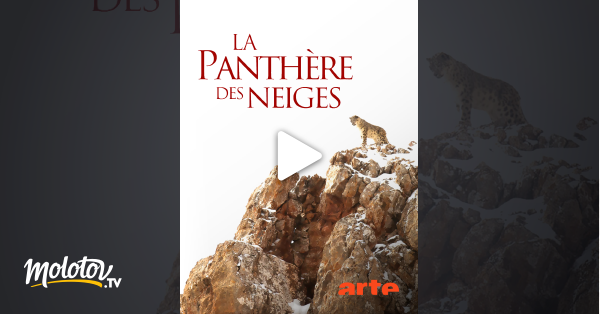 La panthère des neiges en streaming gratuit sur Arte