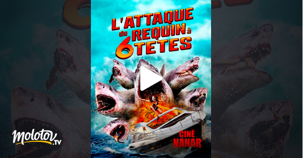 L Attaque Du Requin T Tes En Streaming Gratuit Sur Cin Nanar