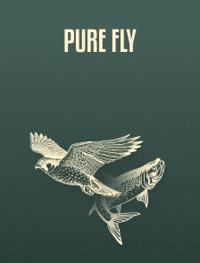 Pure Fly