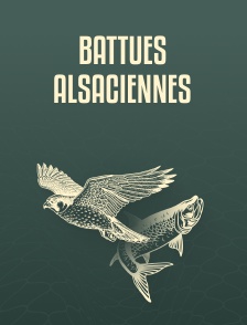 Battues alsaciennes
