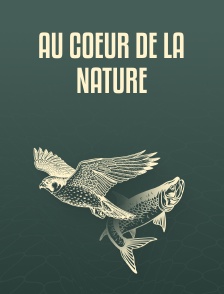 Au coeur de la nature