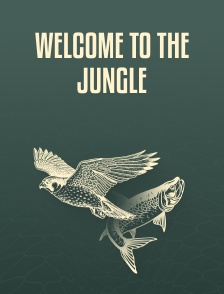 Welcome to the Jungle