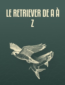 Le retriever de A à Z