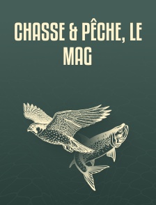 Chasse & pêche, le mag
