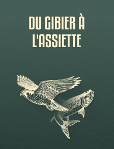 Du gibier à l'assiette