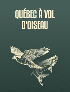 Québec à vol d'oiseau