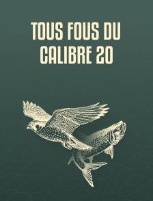 Tous fous du calibre 20