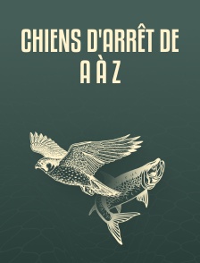 Chiens d'arrêt de A à Z