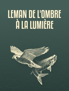 Leman de l'ombre à la lumière