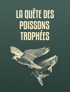 La quête des poissons trophées