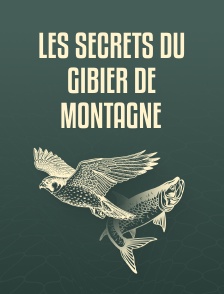 Les secrets du gibier de montagne