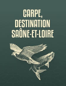 Carpe, destination Saône-et-Loire