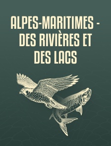 Alpes-Maritimes - Des rivières et des lacs