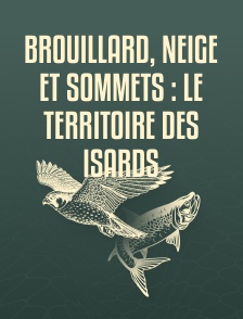 Brouillard, neige et sommets : Le territoire des isards