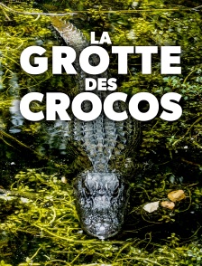 La grotte des crocos