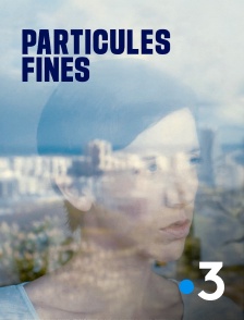 France 3 - Particules fines