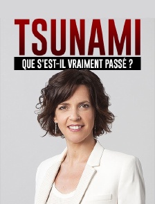 Tsunami, que s'est-il vraiment passé ?
