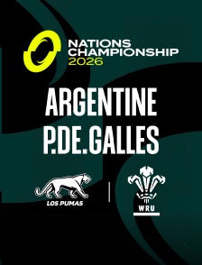 Argentine / Pays de Galles : Nations Championship - Rugby