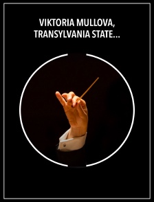 Viktoria Mullova, Transylvania State Philharmonic Orchestra, Cristian Mandeal : Brahms