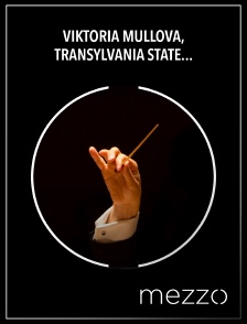Mezzo - Viktoria Mullova, Transylvania State Philharmonic Orchestra, Cristian Mandeal : Brahms