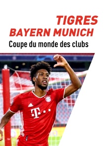 Football : Coupe du monde des clubs de la FIFA : La finale