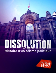 Public Sénat - Dissolution - Histoire d'un séisme politique