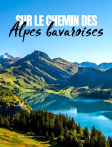 Sur le chemin des Alpes bavaroises : Une féerie de lacs et de châteaux