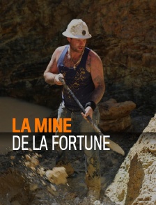 La mine de la fortune