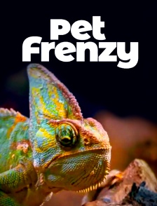 Pet Frenzy