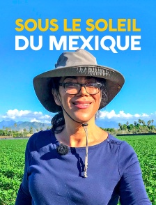 Sous le soleil du Mexique