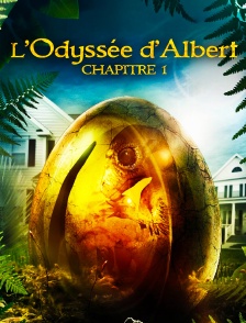 L’odyssée d’Albert