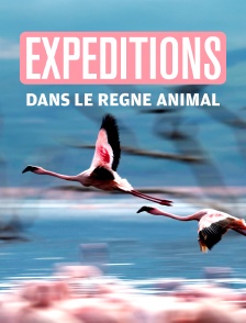Expéditions dans le règne animal