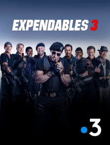 France 3 - Expendables 3