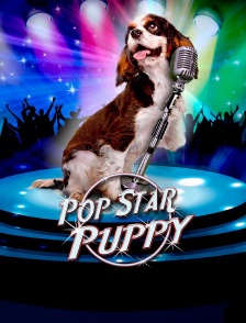Pop Star Puppy