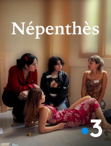 France 3 - Népenthès