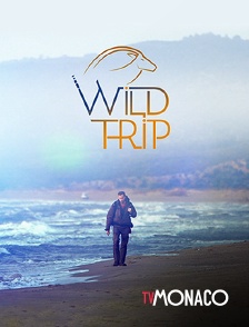 TV Monaco - Wild Trip