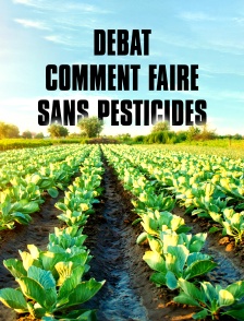 Débat : Comment faire sans pesticides ?