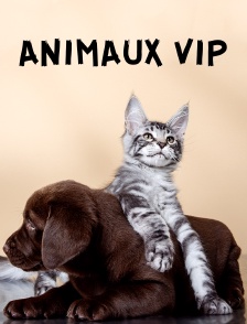 Animaux VIP