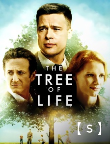 France TV Séries - The Tree of Life