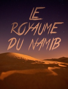 Le royaume du Namib