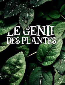 Le génie des plantes