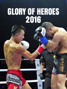 Glory of Heroes 2016