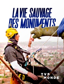 TV5MONDE - La vie sauvage des monuments