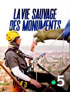 La vie sauvage des monuments