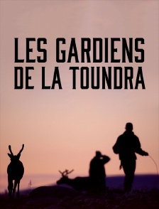 Les gardiens de la toundra