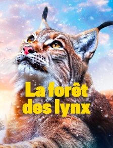 La forêt des lynx