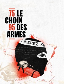 1975-1995 : le choix des armes