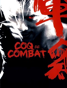 Coq de combat